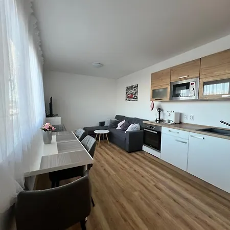 Apartman Roda2 Male Lipno Cerna v Posumavi Exterior photo